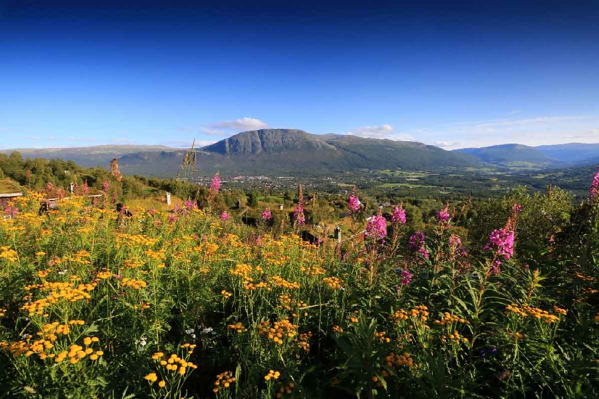 Utsikt i Oppdal