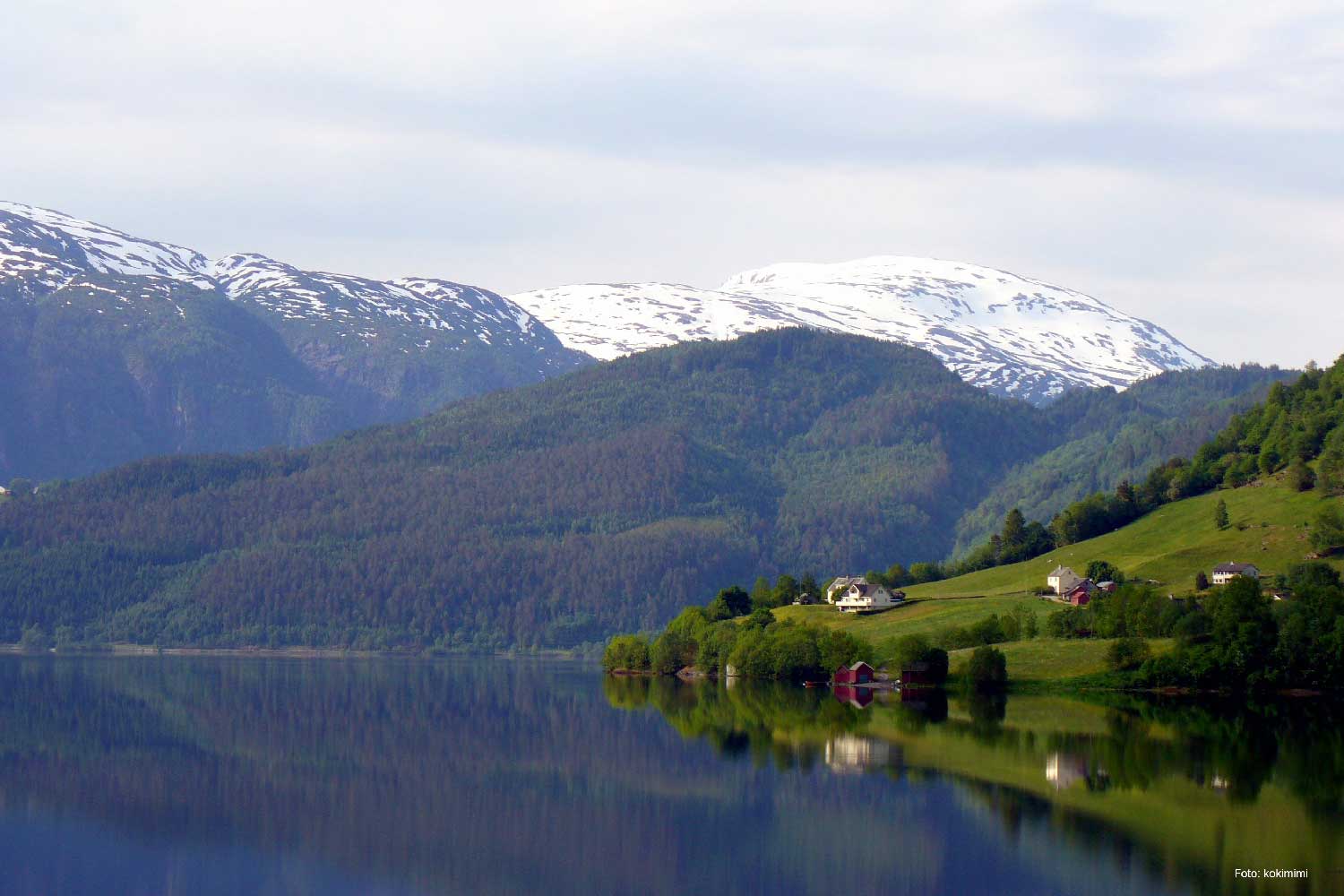 Vinje kommune