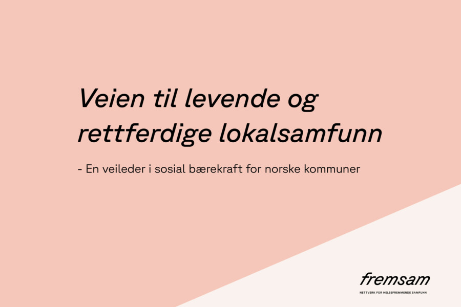 Veileder i sosial bærekraft